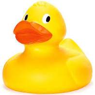 Ringfoto Ben Hofland